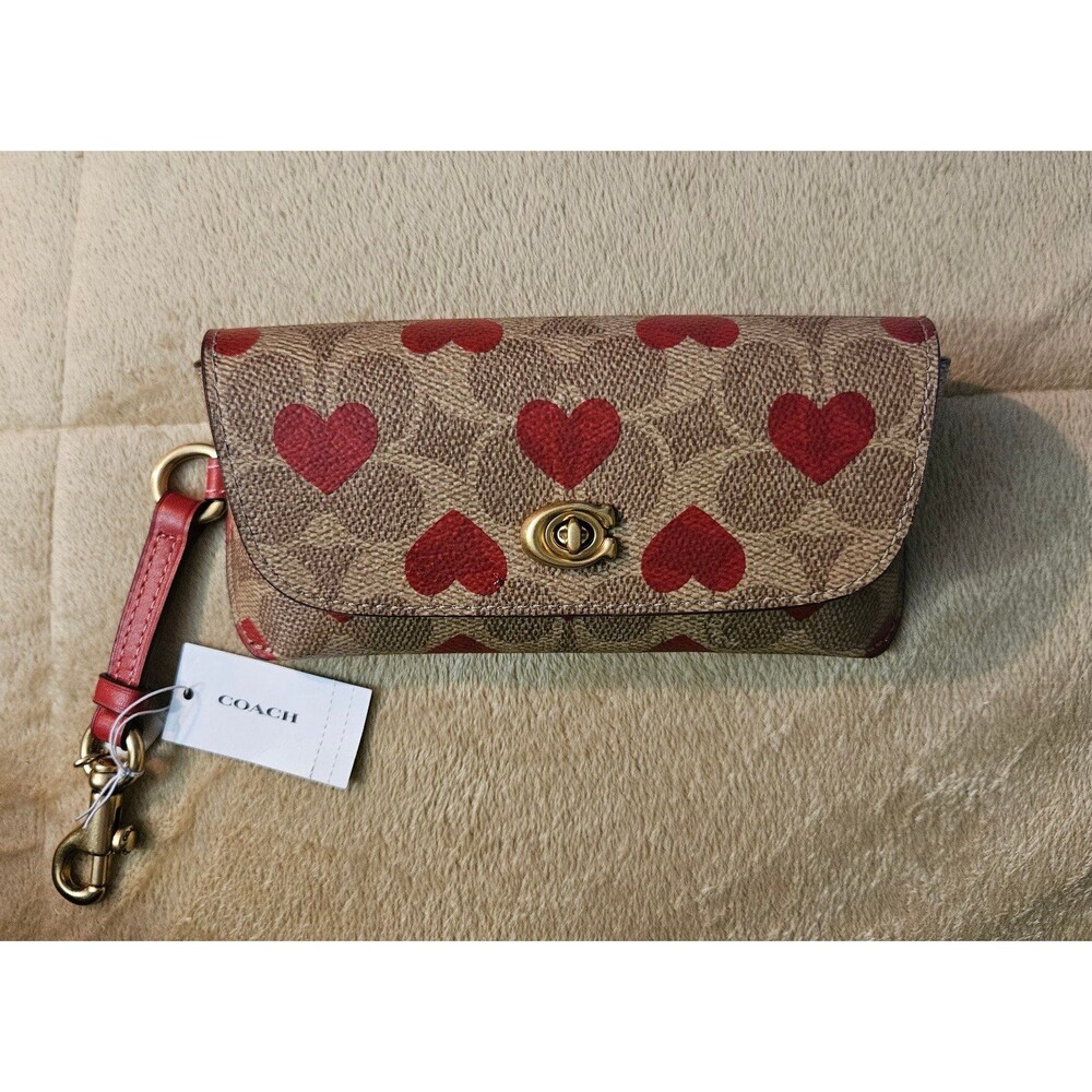 Coach sunglass case